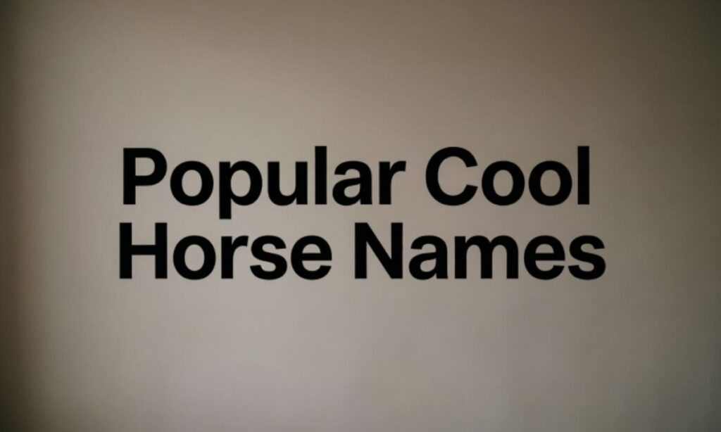 Popular Cool Horse Names