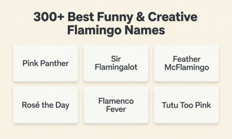 300+  Best Funny & Creative Flamingo Names