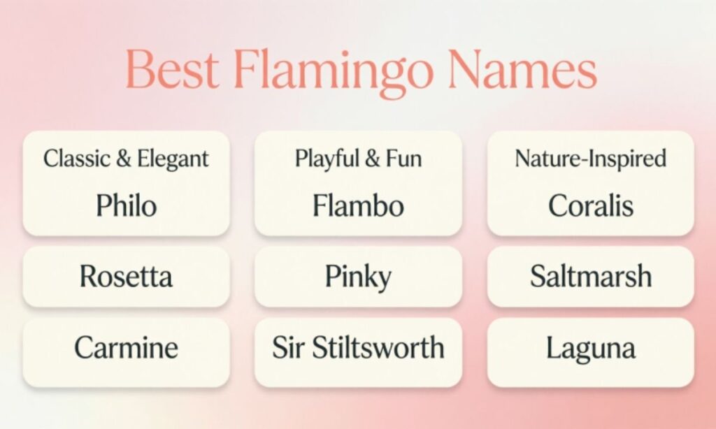 Best Flamingo Names