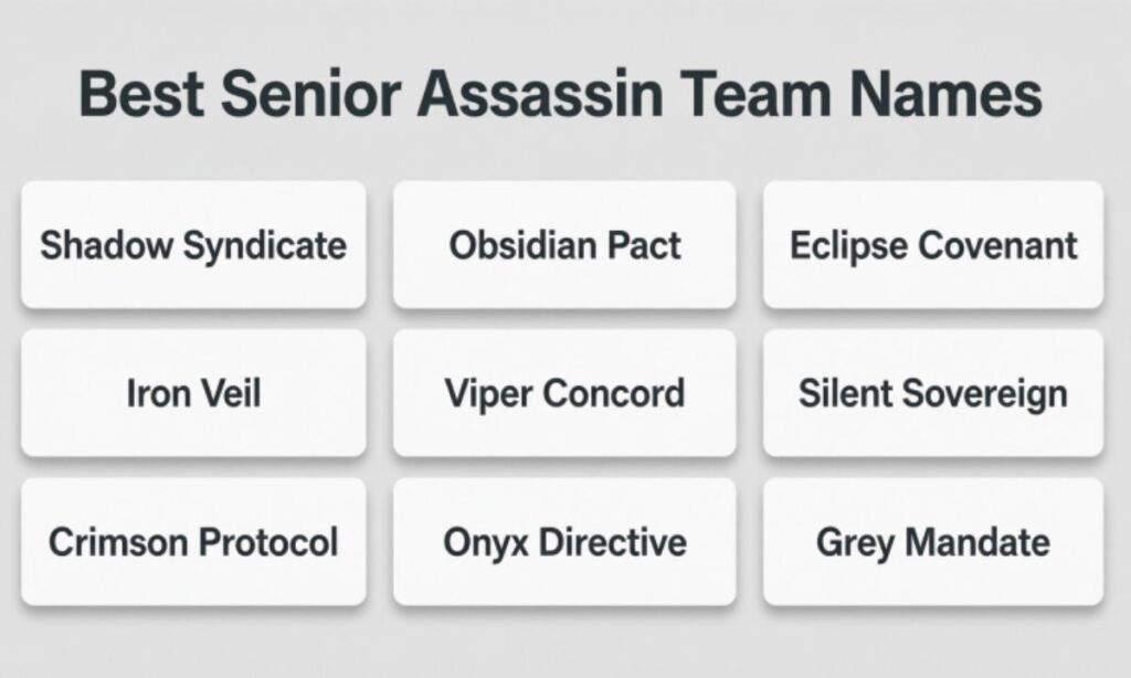 Best Senior Assassin Team Names