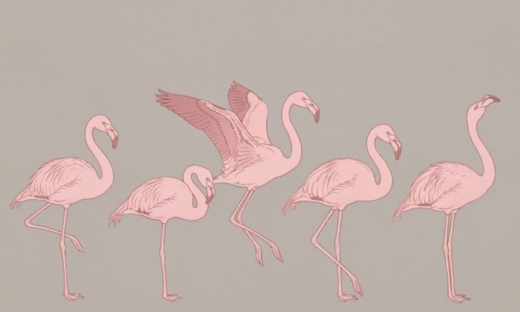 Other Flamingo Names