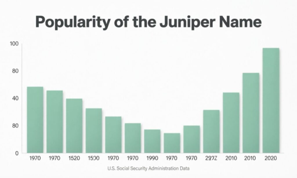 Popularity of the Juniper Name