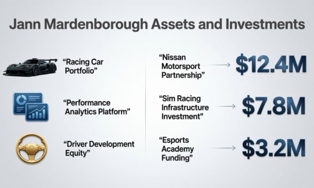 Jann Mardenborough Assets and Investments