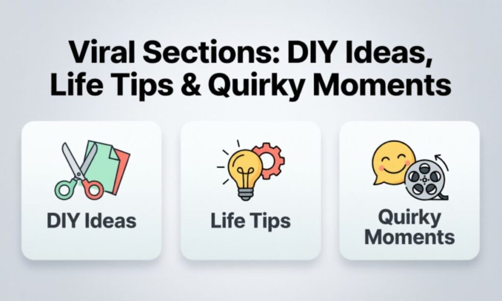 Viral Sections: DIY Ideas, Life Tips & Quirky Moments